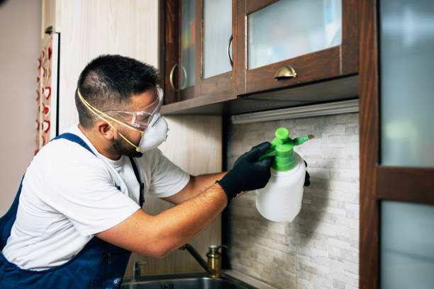 Best Pest Control Treatment  in Clarksville, TX