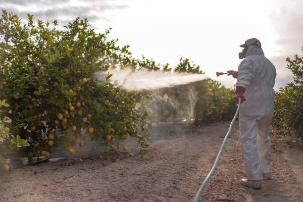 Best Emergency Pest Control  in Clarksville, TX