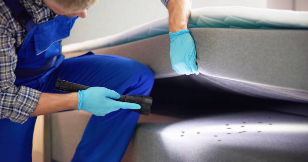 Best Pest Prevention Services  in Clarksville, TX