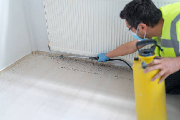 Reliable Clarksville, TX Pest Control Solutions