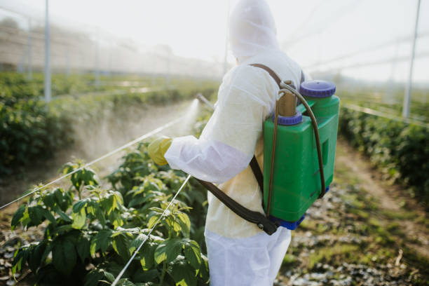 Pest Control Cost in Clarksville, TX